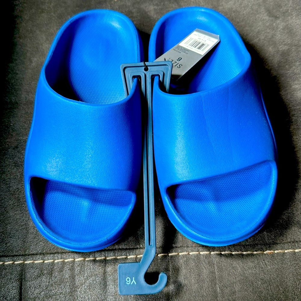 DSG slides